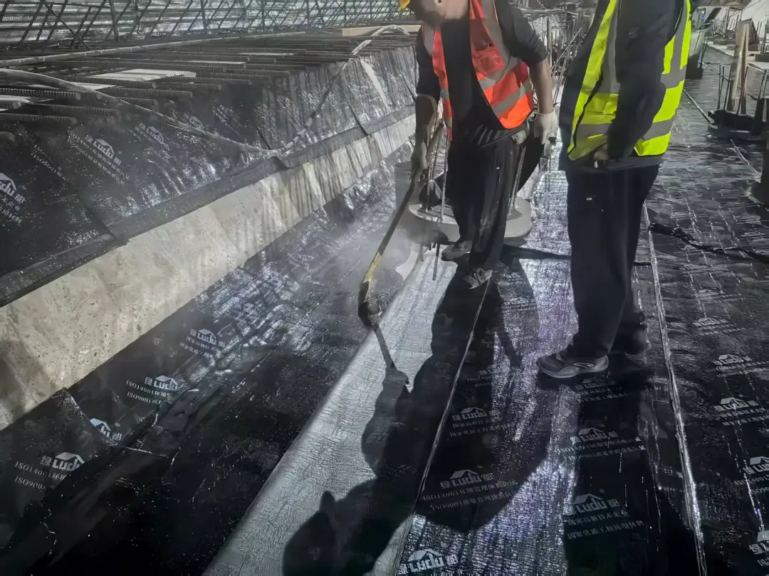 20251011113525801648.png 圖片6.png